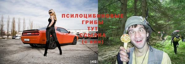 a pvp Бердск
