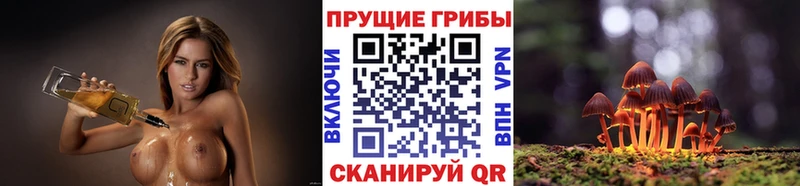 Псилоцибиновые грибы MAGIC MUSHROOMS  Волжск 